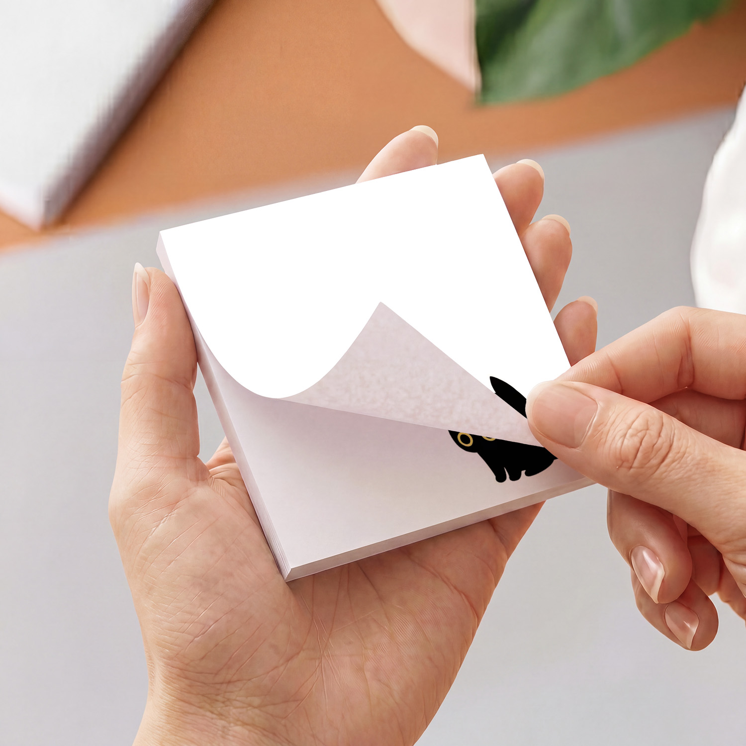 2 stuks schattige zwarte kat s - Sticky Note Dispenser recensie en prijs